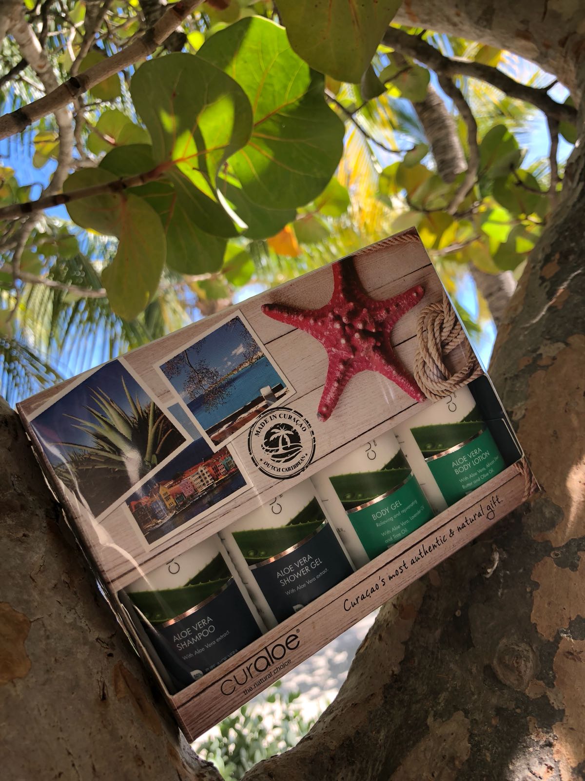 Curaçao Souvenir Box (Curaloe Mini's Skin & Body Gift Set)