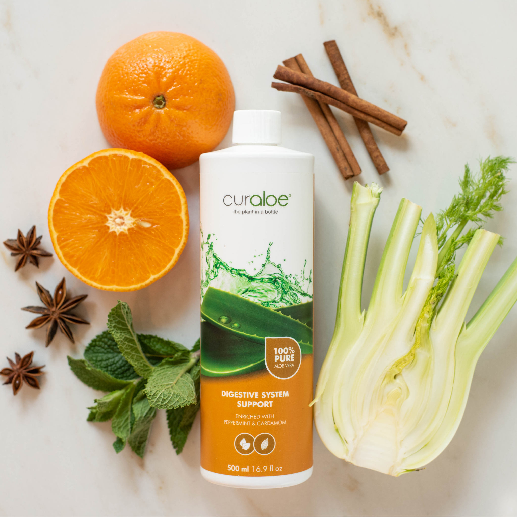 Digestive Support Supplement - 95% Aloe Vera