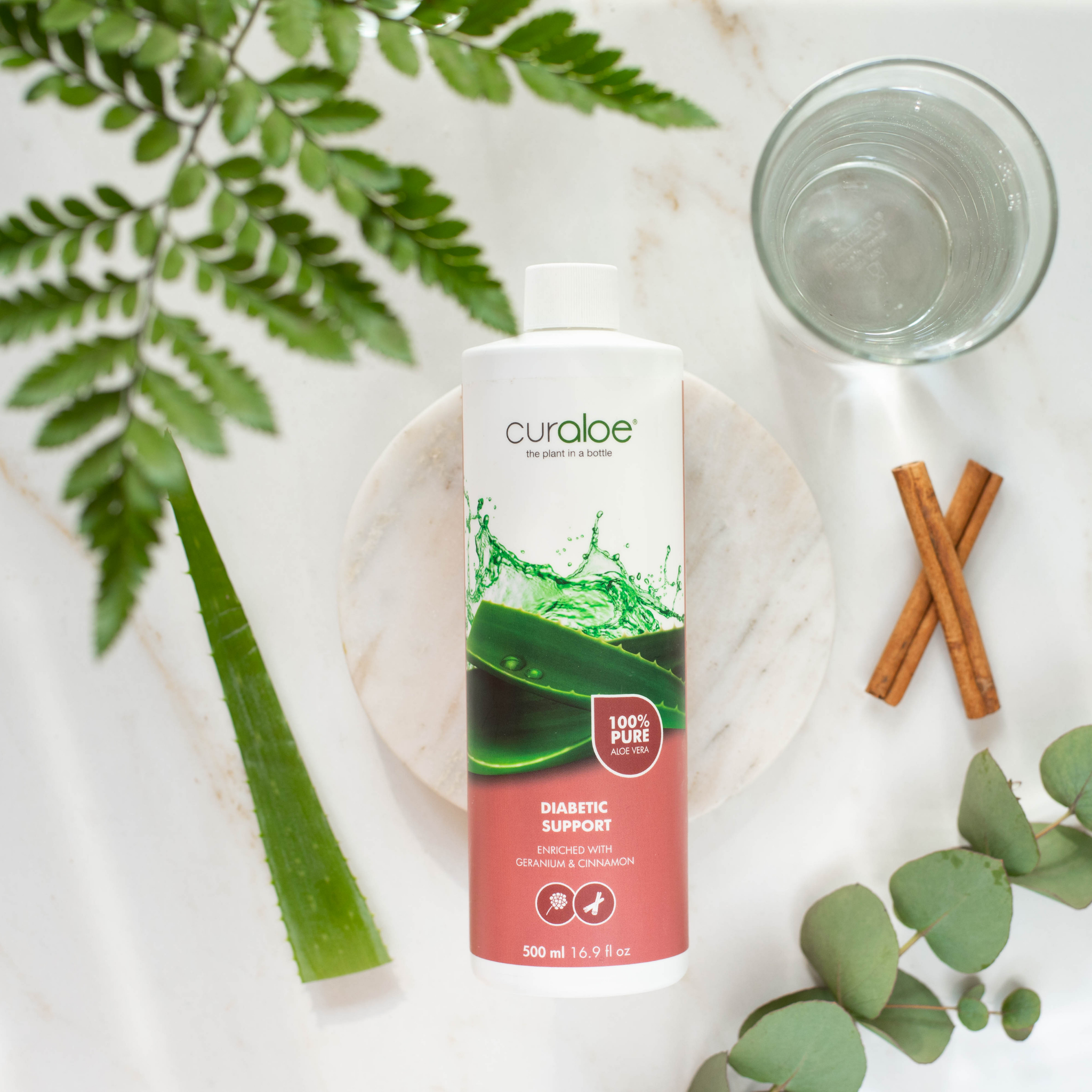 Curaloe Diabetic Support Supplement – natural detoxification and circulation
