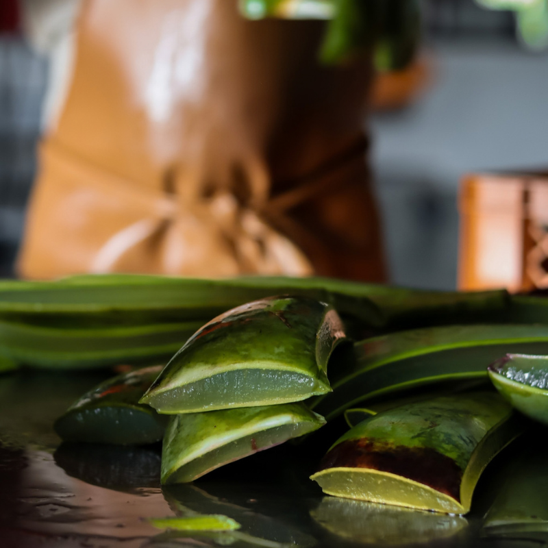 Free Curaloe Aloe Experience