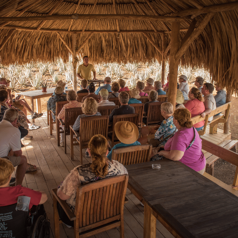 Curaloe Aloe Vera Farm & Factory Tour in Curacao