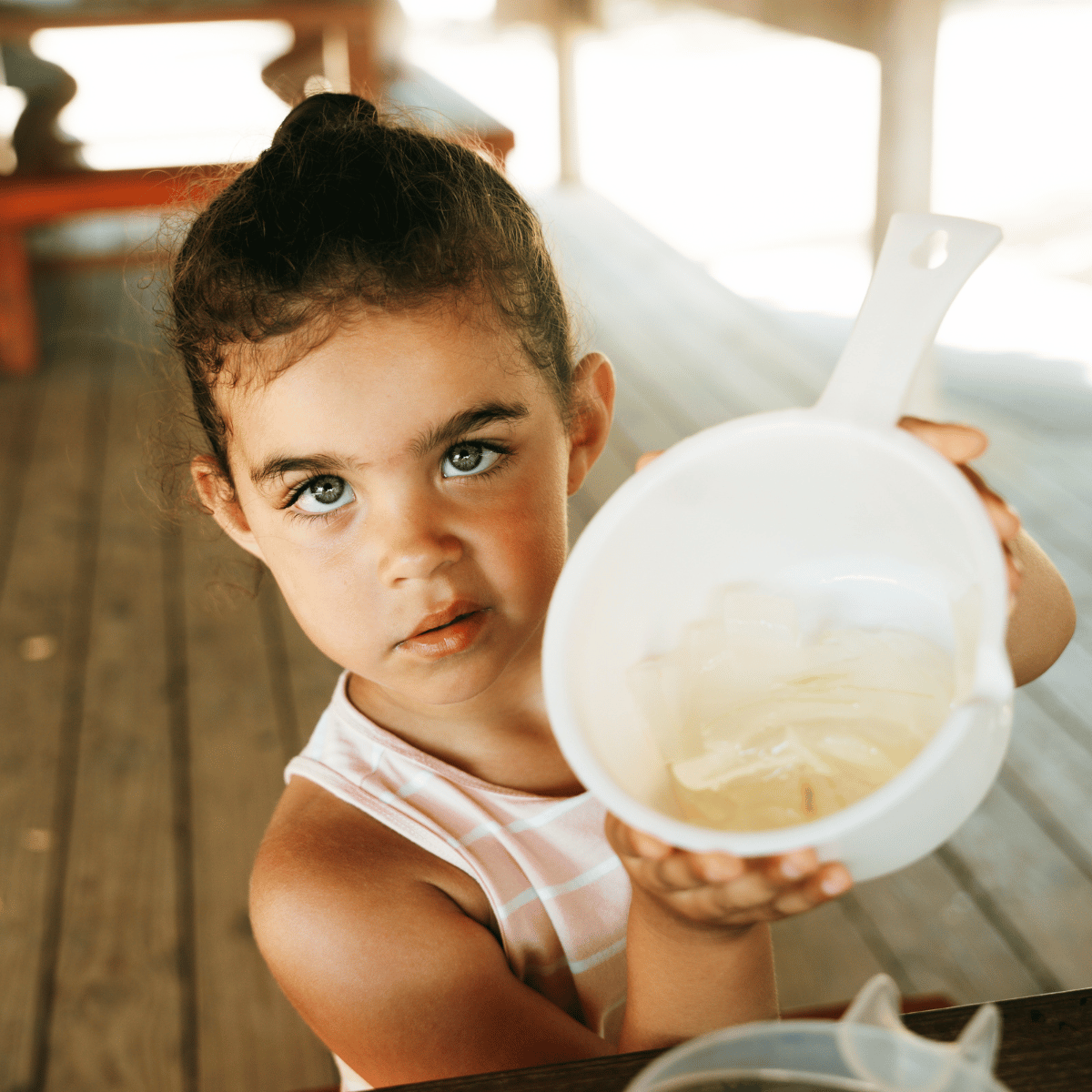 Family-friendly Aloe Vera workshop with interactive learning experience