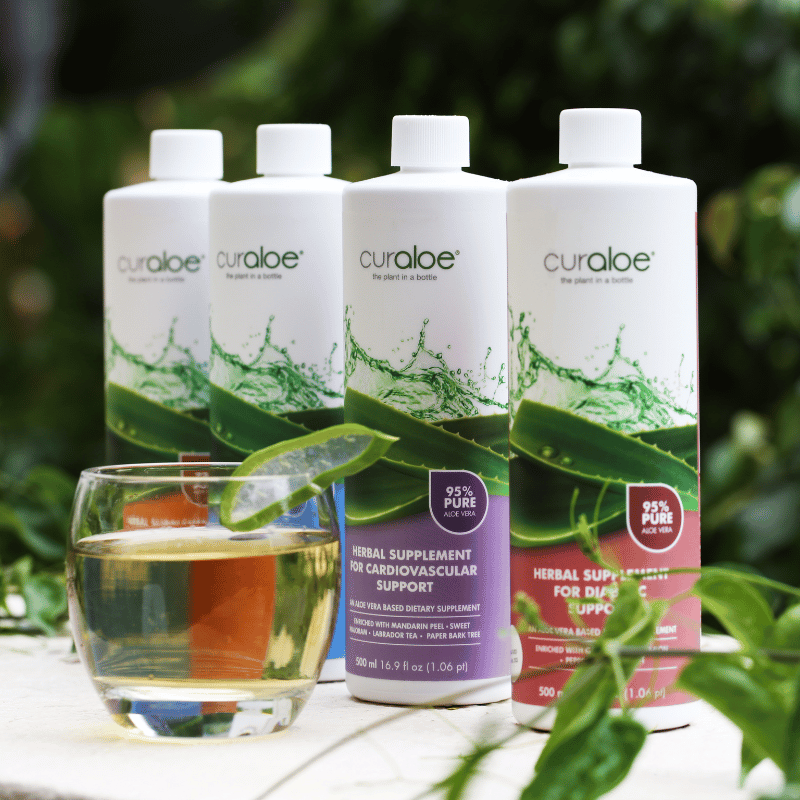 Herbal blend in Curaloe Diabetic Supplement supports healthy blood sugar levels
