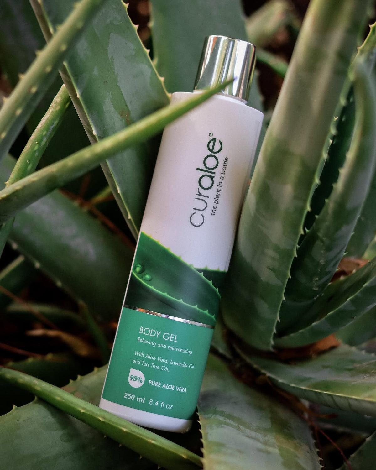 Free Curaloe Aloe Experience