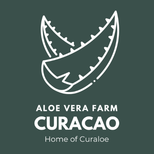 Aloe Workshop & Vera Farm | Curaloe Factory - Best Curaao Activity