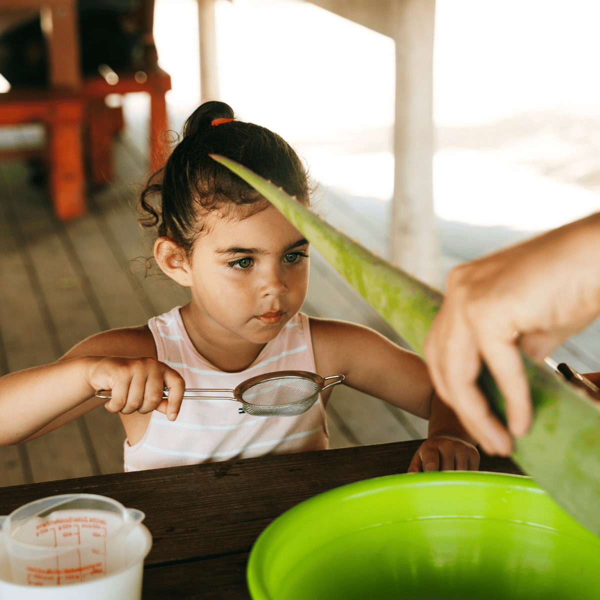 Curaloe Aloe Vera Body Spray Weekend Workshop