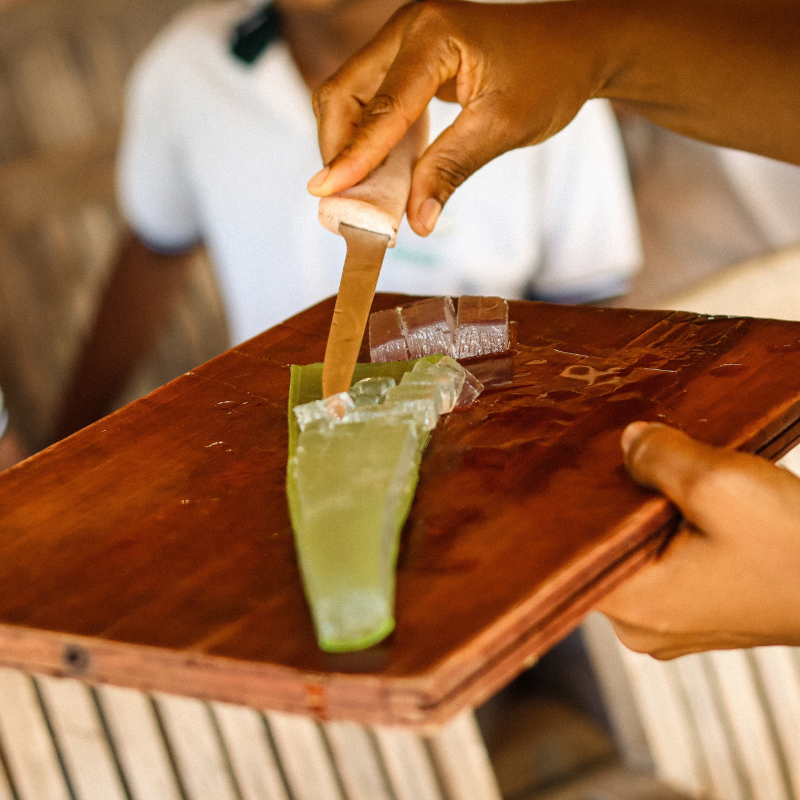 Free Curaloe Aloe Experience