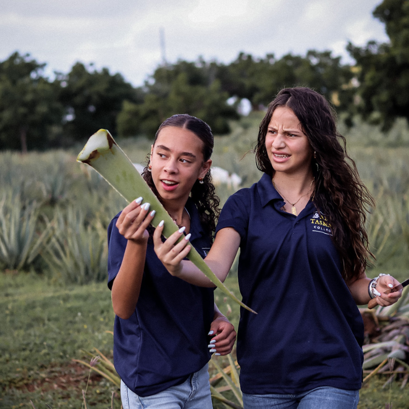 Free Curaloe Aloe Experience