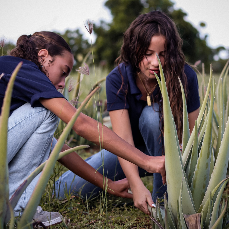 Free Curaloe Aloe Experience