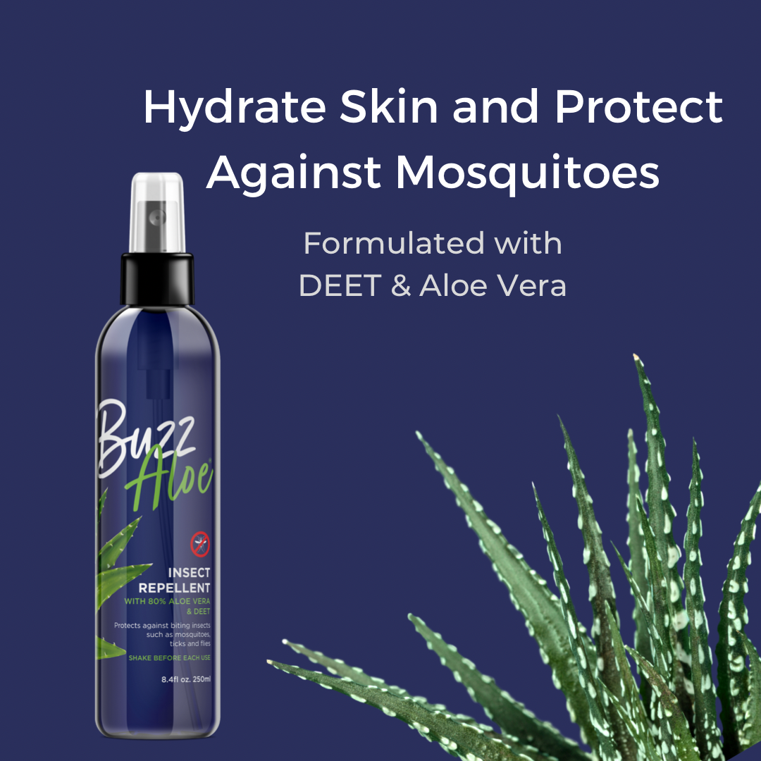 Buzz Aloe Insect Repellent with Aloe Vera providing hydration and defense